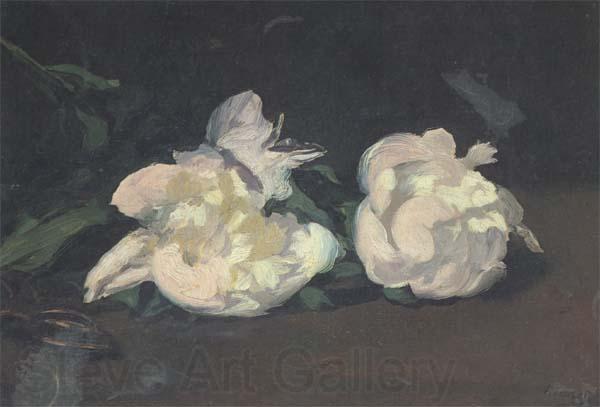 Edouard Manet Branch of White Peonies and Shears (mk40) France oil painting art